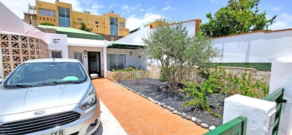 Dos Gatos Fuertaventura Villa Caleta De Fuste Exterior foto