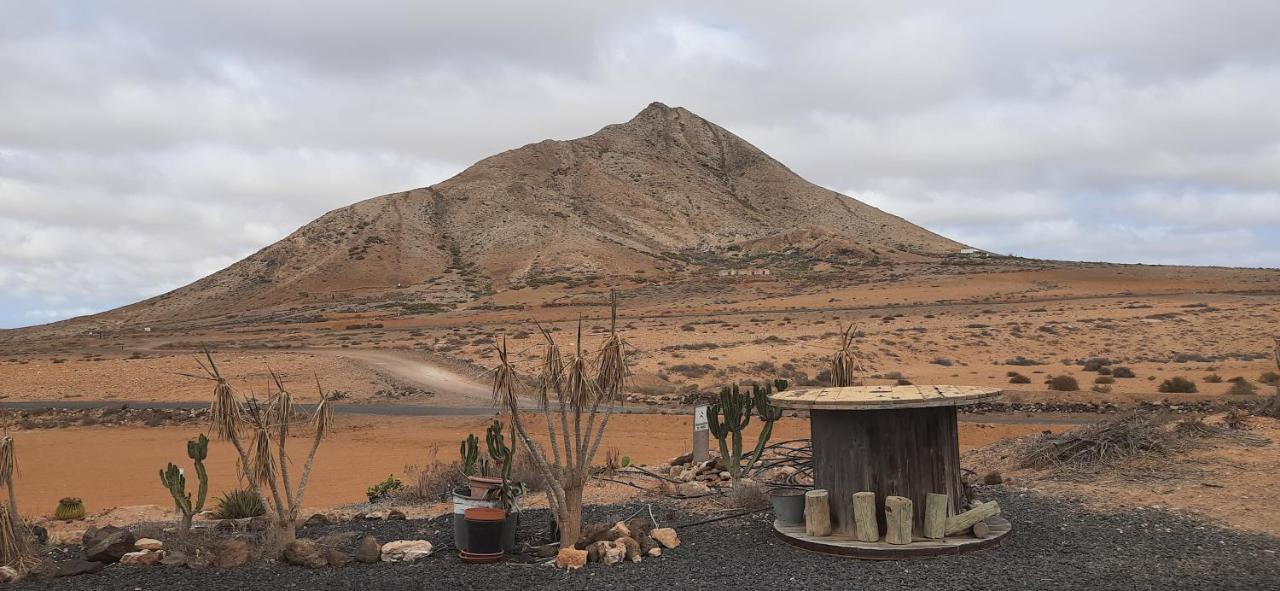Dos Gatos Fuertaventura Villa Caleta De Fuste Exterior foto