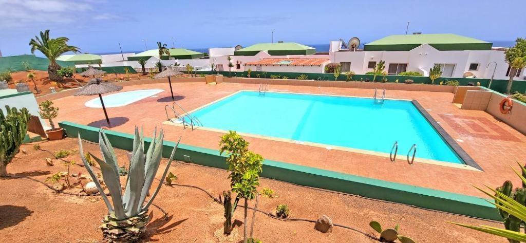 Dos Gatos Fuertaventura Villa Caleta De Fuste Exterior foto